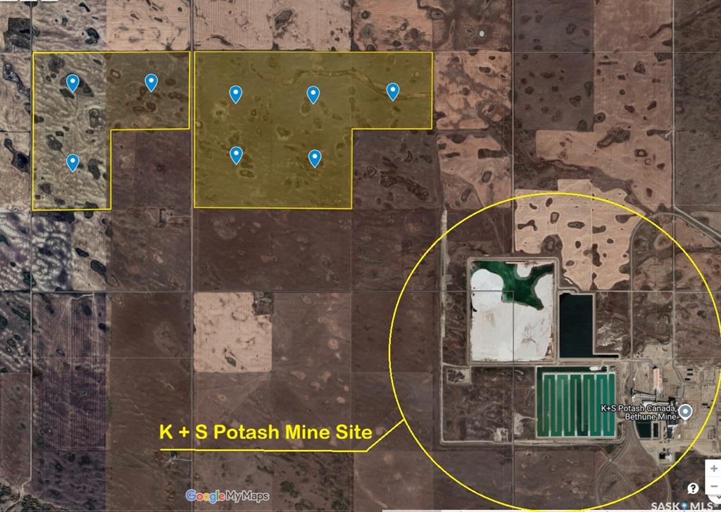 44616029