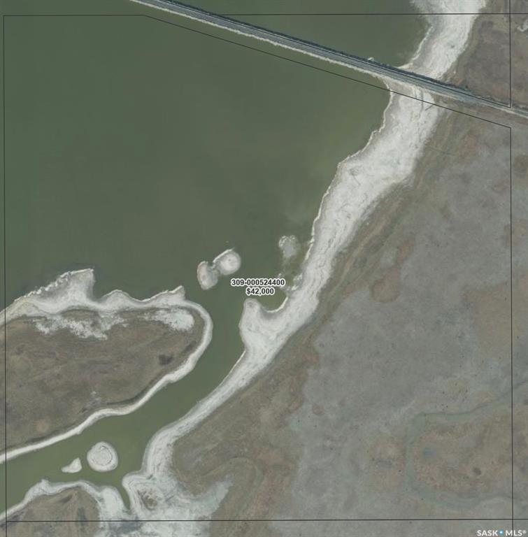 44697243